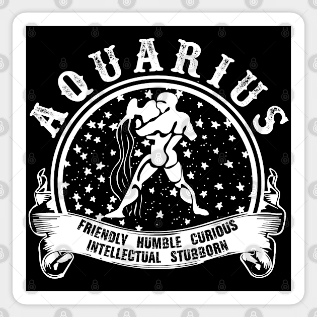 Aquarius astrology Sign Sticker by SublimeDesign